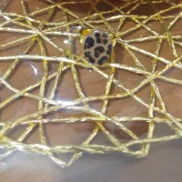 آموزش زیورآلات رزینی|خدمات آموزشی|کرمانشاه, |دیوار