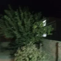 فروش ساختمان مسکونی ویلای|فروش خانه و ویلا|تاکستان, |دیوار