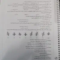 کتاب علوم نهم تیزهوشان|کتاب و مجله آموزشی|تربت جام, حافظ|دیوار