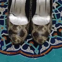 کفش های مجلسی|کیف، کفش، کمربند|الوند, |دیوار