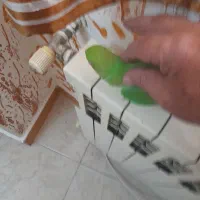 ملنگو جوان|پرنده|رشت, نیکمرام|دیوار