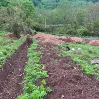 ویلاسازی رویایی با ویو بی‌نظیر.رشت اسکولک