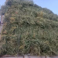 یونجه|عمده‌فروشی|تهران, سعیدآباد|دیوار