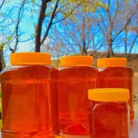 عسل طبیعی کوهستان مرغوبترین عسل