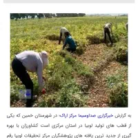 یه اکیب 15نفر دارم برا کار|خدمات باغبانی و درختکاری|دهگلان, |دیوار