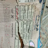 فرش اتاق خواب|فرش|مشهد, شهرک لشکر (شهرک غرب)|دیوار