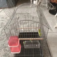 قفس مناسب طوطی