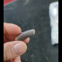 هبهاب دندون ببری.. عراقی یا مغربی