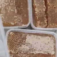 عسل با ضمانت