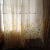 پرده|پرده، رانر، رومیزی|قزوین, |دیوار