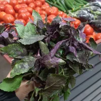 سبزی|خوردنی و آشامیدنی|بیرجند, |دیوار