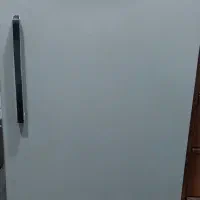 فریزرارج،سالم