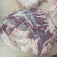 قلوه گاه گوسفندی