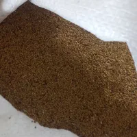 بیله سوار روستای بابک