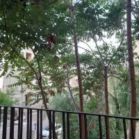 اجاره ۱۲۰ متری ابتدای طالقانی|اجارهٔ آپارتمان|اراک, |دیوار