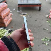 14 pro max 256|موبایل|قم, شهرک سازمان آب|دیوار