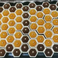 حلوا|خوردنی و آشامیدنی|اهواز, زیتون کارگری|دیوار