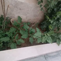 طبقه دوم منزل ویلایی در کهک