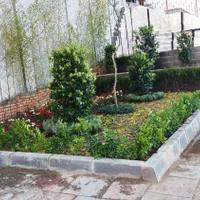 خدمات باغبانی و باغچه کار و تعویض گلدان|خدمات باغبانی و درختکاری|تهران, اختیاریه|دیوار