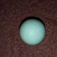 الماس اسیاب|کلکسیون اشیاء عتیقه|بندر گناوه, |دیوار