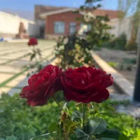 باغ-ویلادونبش-جاده-باغرودقابل-معاوضه-املاکـ-هیراد