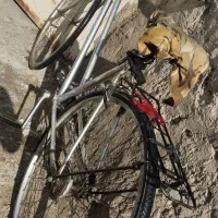 دوچرخه ژاپنی ۲۸