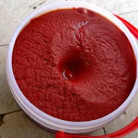 رب گوجه فرنگی