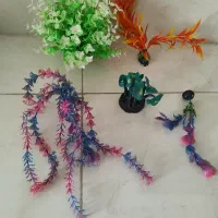 صدف وتزیینات آکواریوم