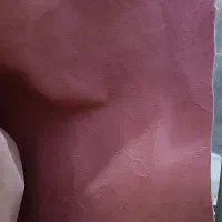 موکت حدود ۱۵ متر