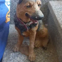 مجسمه سگ