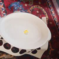 ظروف چینی