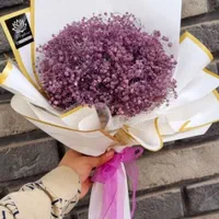 گل ژیپسوفیلا رنگ بندی|گل و گیاه طبیعی|مشهد, خین عرب|دیوار