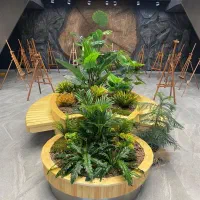 ترمینال/دیزاینِ گیاهی/فلاورباکس*پاچیرا