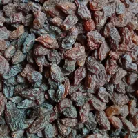 گردو کشمش شیره انگور آذربایجان|خوردنی و آشامیدنی|تهران, وصفنارد|دیوار