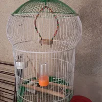 قفس درحدنونو