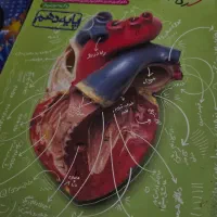 تست خیلی سبز