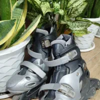 اسکیت تا سایز ۳۹|دوچرخه، اسکیت، اسکوتر|ساری, |دیوار