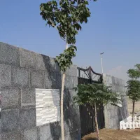 فروش زمین ۲۵۲ متری در شعبان‌آباد|فروش زمین و ملک کلنگی|کرج, شعبان‌آباد|دیوار
