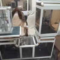 چند قلم لوازم خانگی