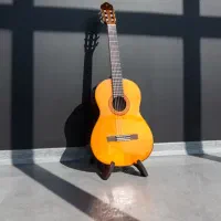 گیتار یاماها c70