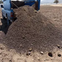 کود حیوانی گوسفندی