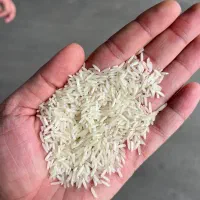 برنج شیرودی اعلاء