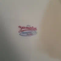 ۶ عدد بشقاب چینی ژاپن