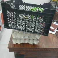 فروش سبد