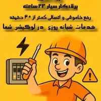 برقکار/لاین نوری/دوربین مداربسته/دزدگیر