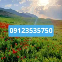 سیمکارت همراه اول