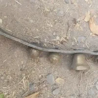 قریچه خیلی قدیمی