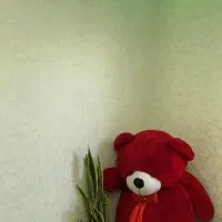 خرس عروسکی برای ولیتم