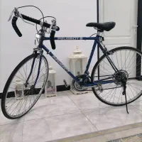دوچرخه کورسی حرفه ای