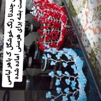 تاج های قیمت مناسب و زیبا برای یلدا